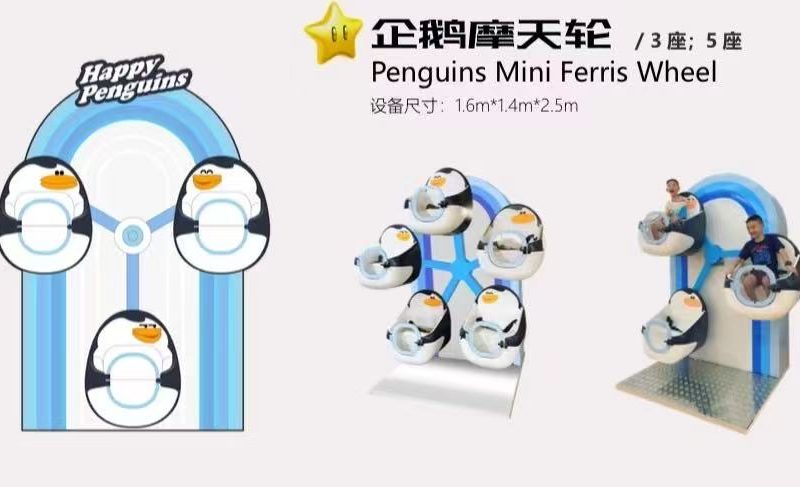 indoor playground mini ferris wheel