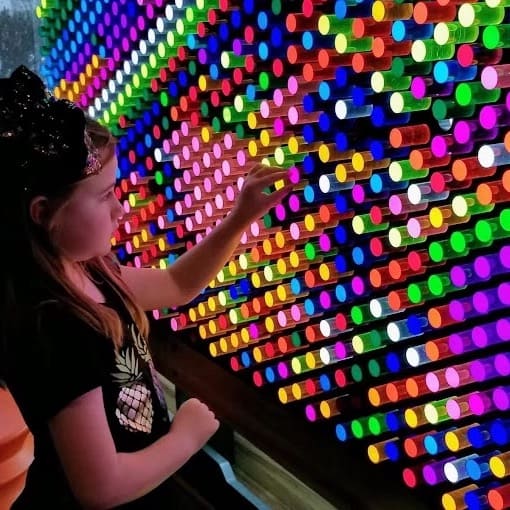 Equipment Calm LED Bubble Tube Lighting Interactive Wall Panel Sensory Lights