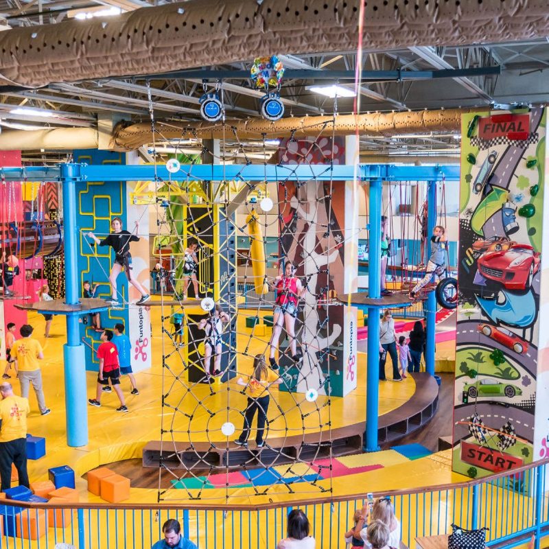 customized High Rope Course Game Element