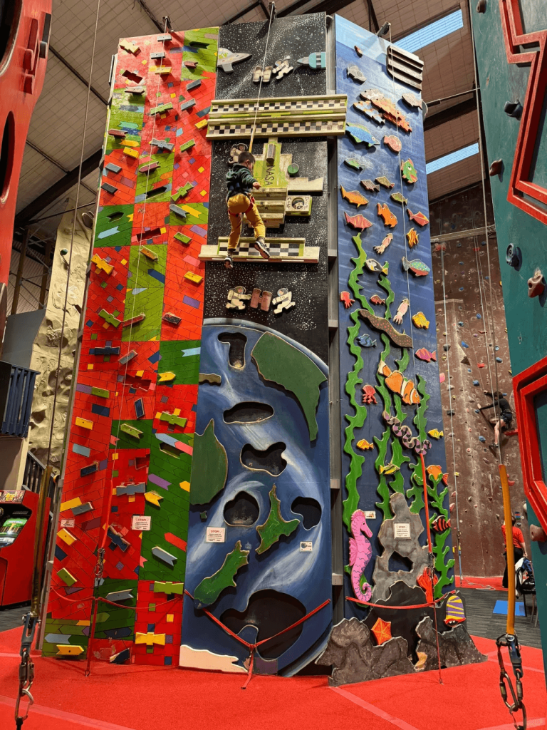 Benefits of climbing walls in indoor playgrounds
Climbing walls to build confidence in kids